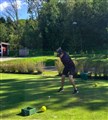 2025 tt7 Holma_Gustis foto14.JPG